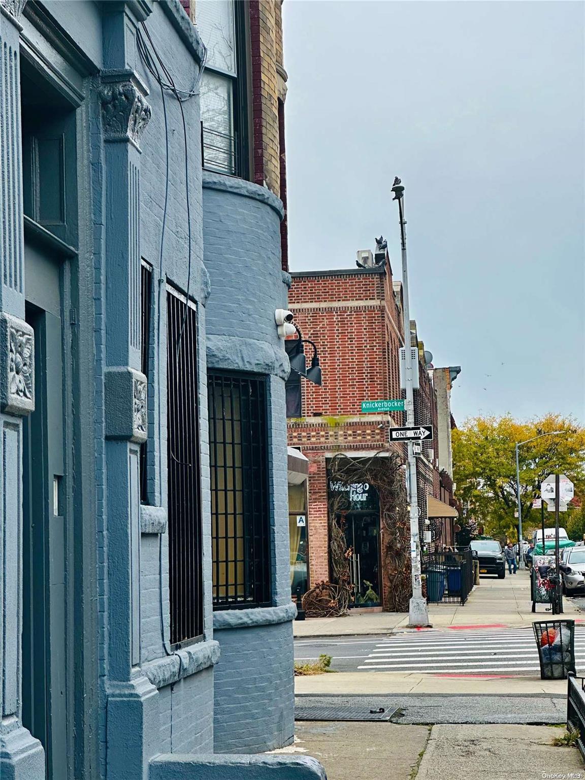 Commercial Sale Knickerbocker  Brooklyn, NY 11207, MLS-L3516183-3