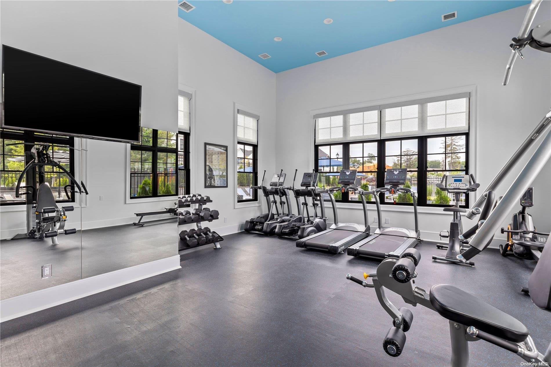 Condo Three Ponds  Nassau County, NY 11797, MLS-L3519155-24