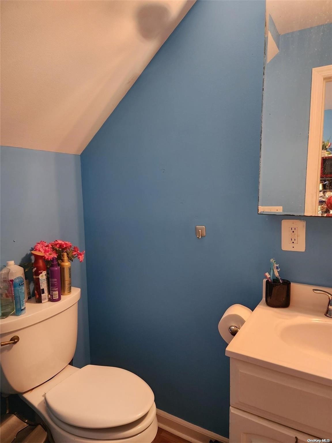 Single Family Lincoln  Suffolk County, NY 11901, MLS-L3522353-11