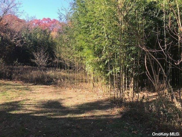 Single Family Lindner  Suffolk County, NY 11787, MLS-L3528227-12