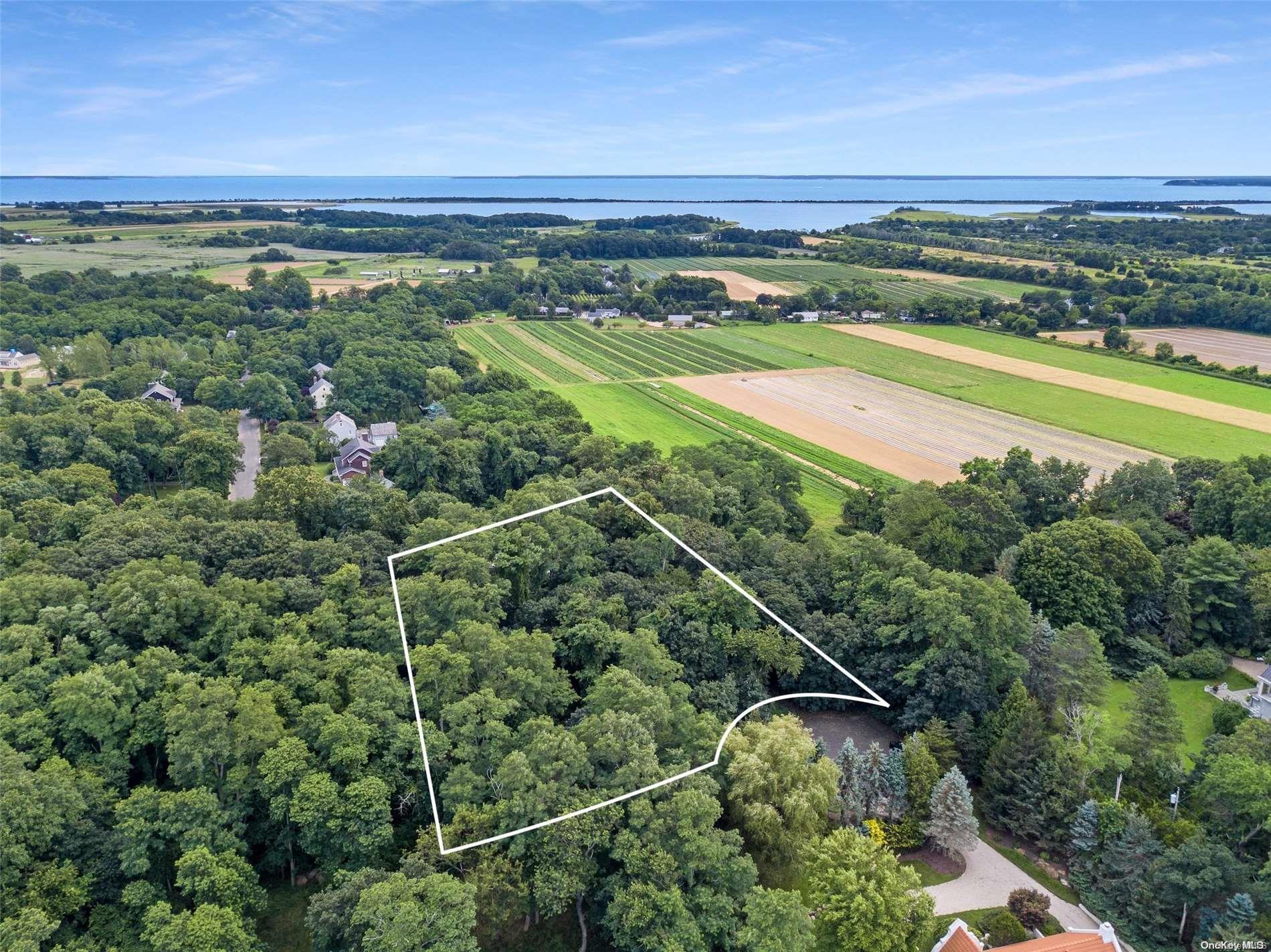 Single Family Hillcrest  Suffolk County, NY 11957, MLS-L3528746-3
