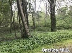 Single Family Laurel  Nassau County, NY 11560, MLS-L3532950-26