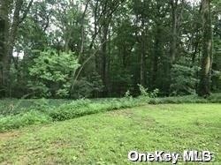 Single Family Laurel  Nassau County, NY 11560, MLS-L3532950-27
