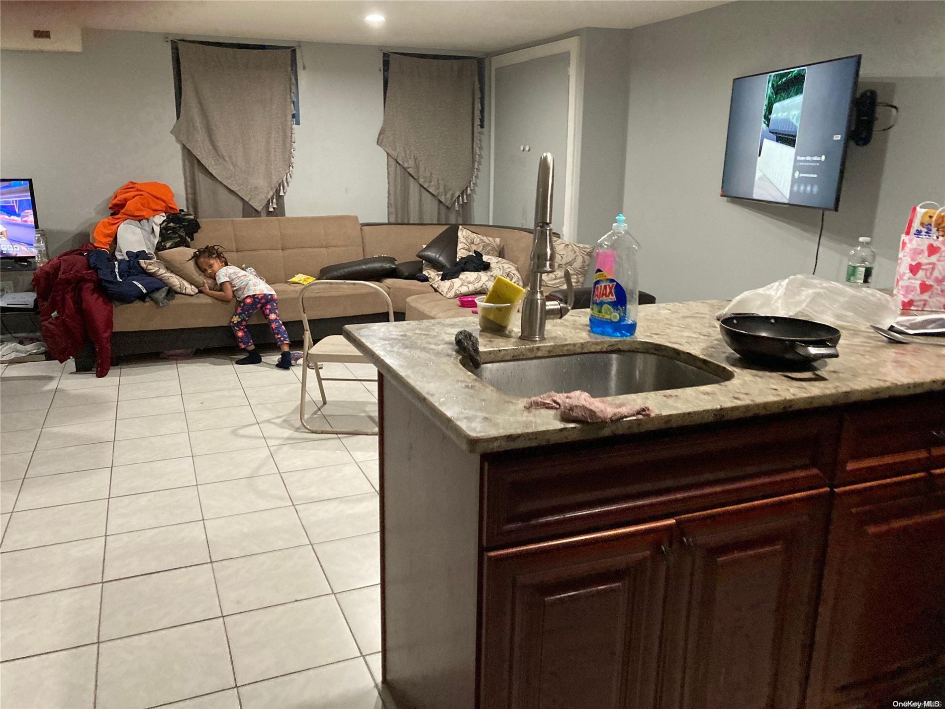 Single Family 79  Brooklyn, NY 11236, MLS-L3533151-22