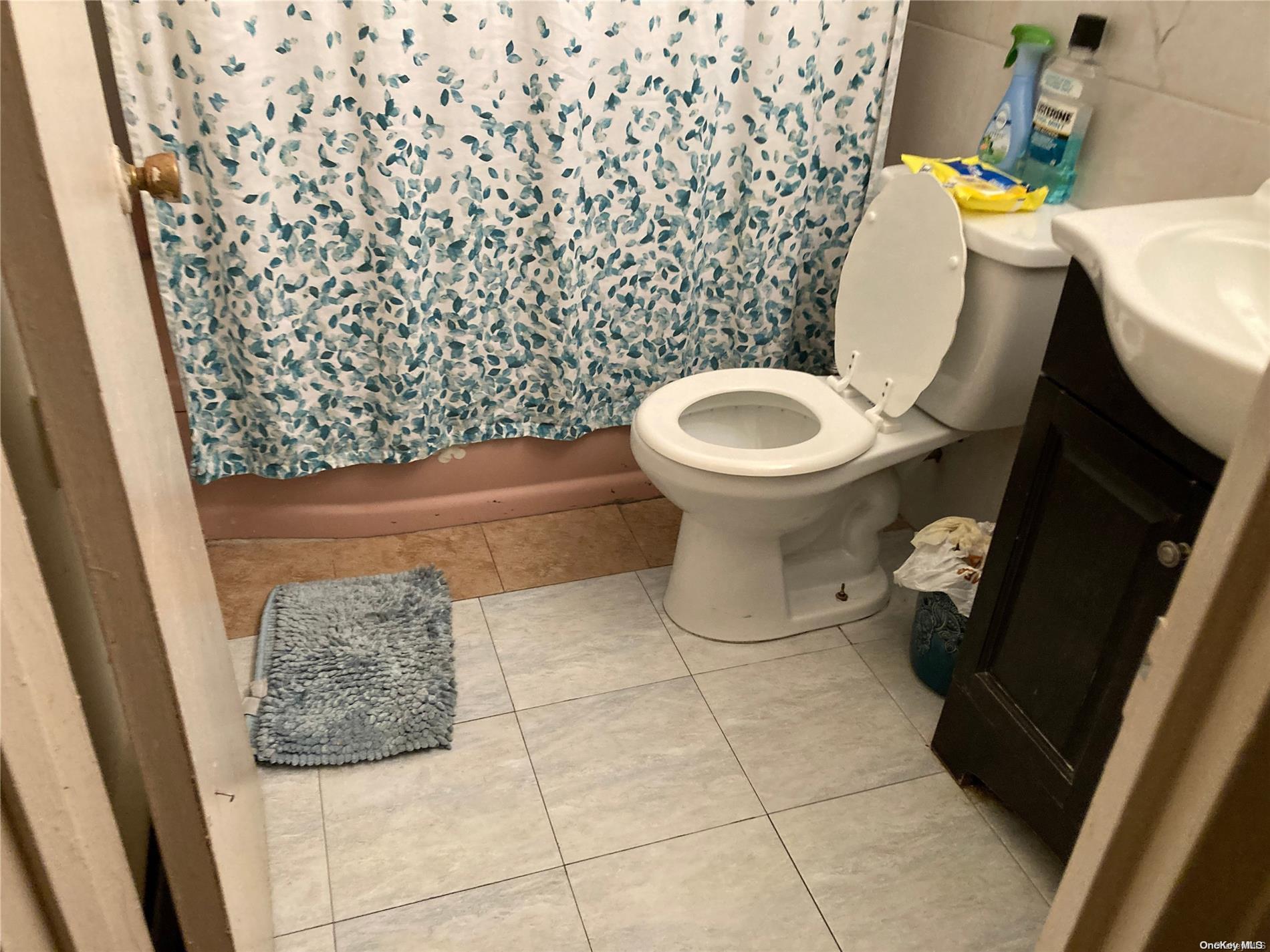 Single Family 79  Brooklyn, NY 11236, MLS-L3533151-34