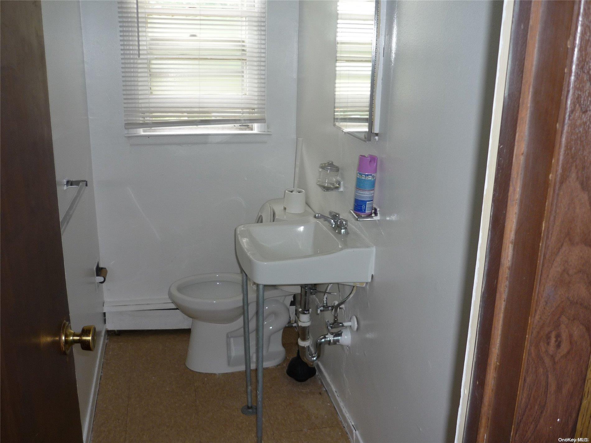 Single Family Grand  Nassau County, NY 11510, MLS-L3533580-4
