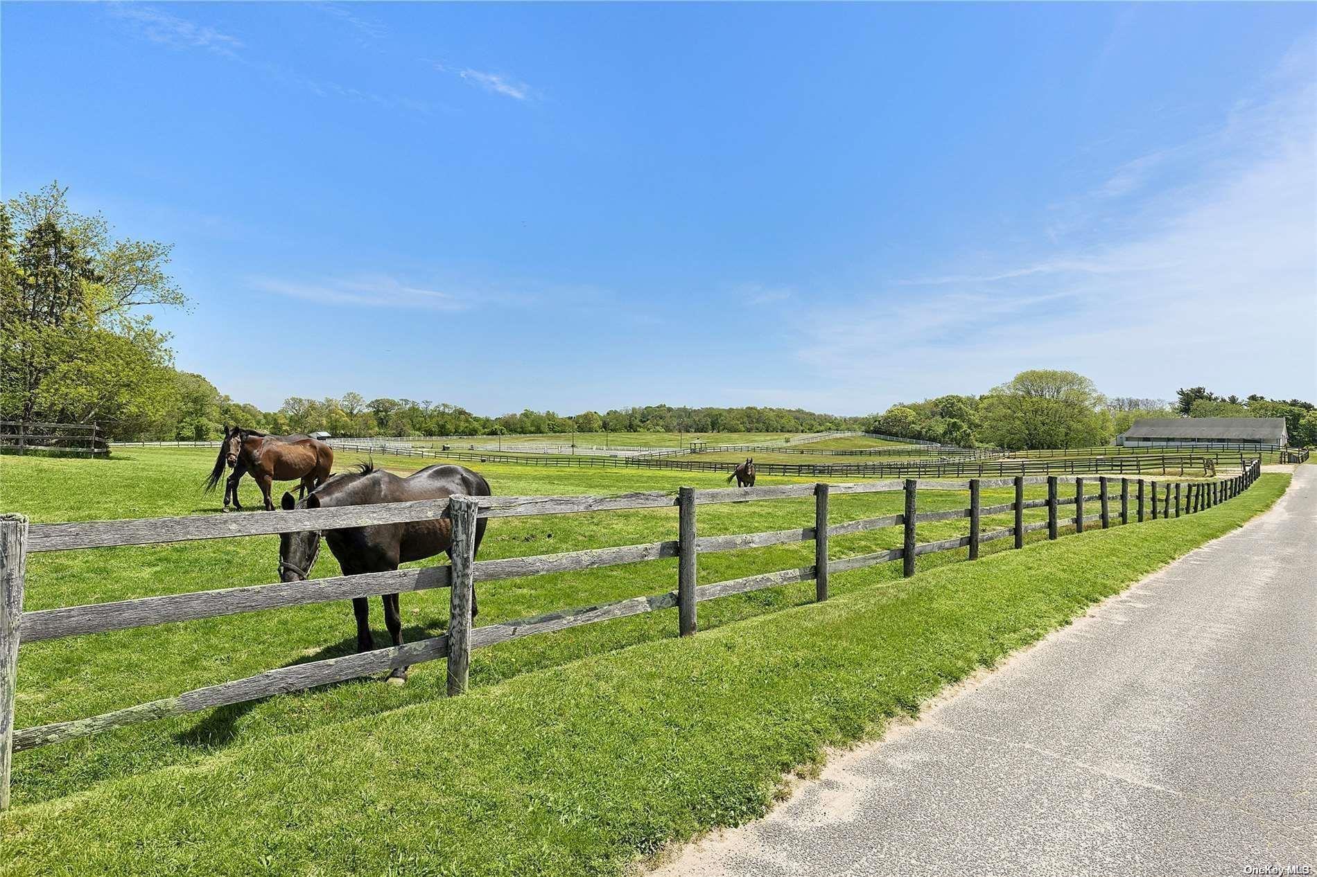 Single Family Main  Suffolk County, NY 11947, MLS-L3542952-25