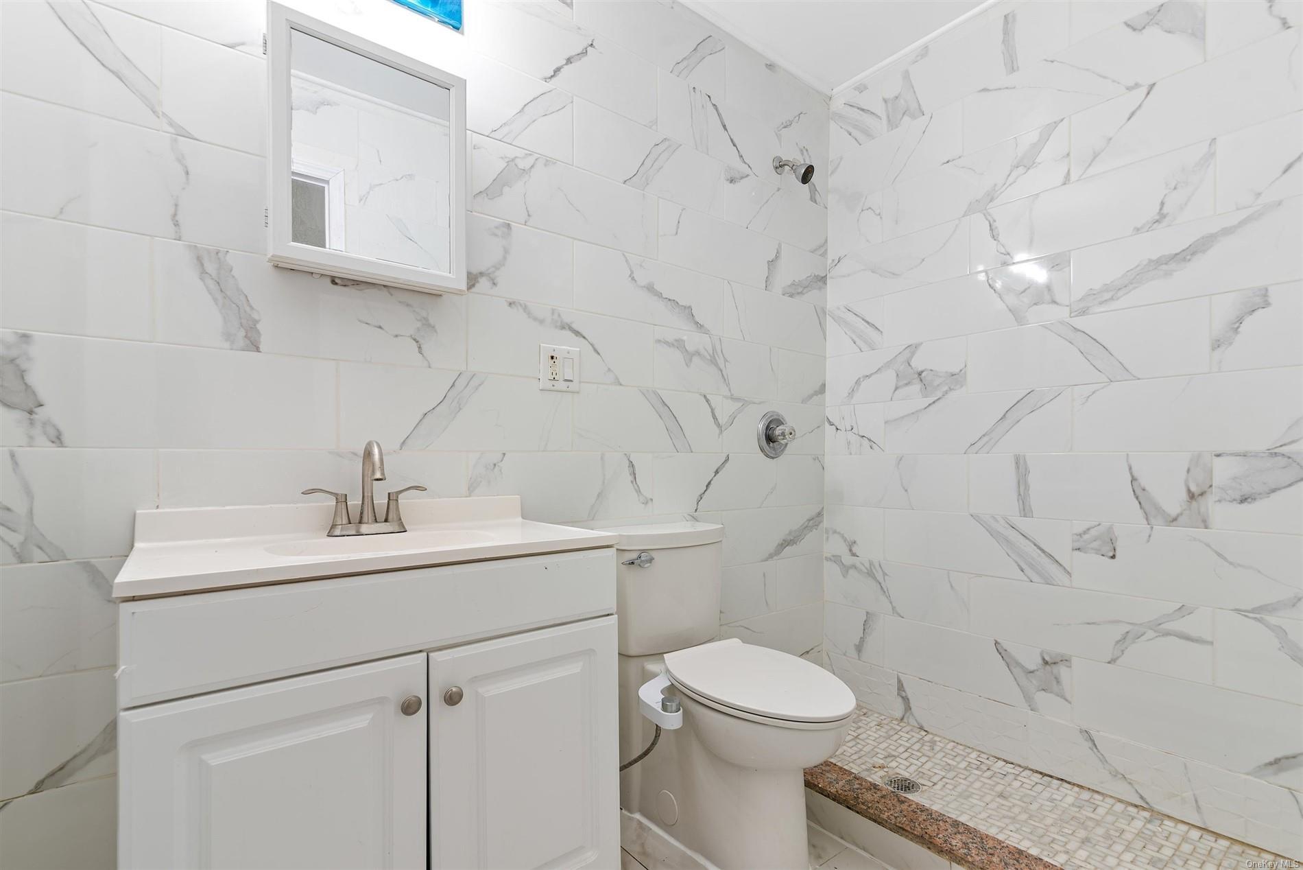 Single Family Saratoga  Brooklyn, NY 11233, MLS-L3544064-16