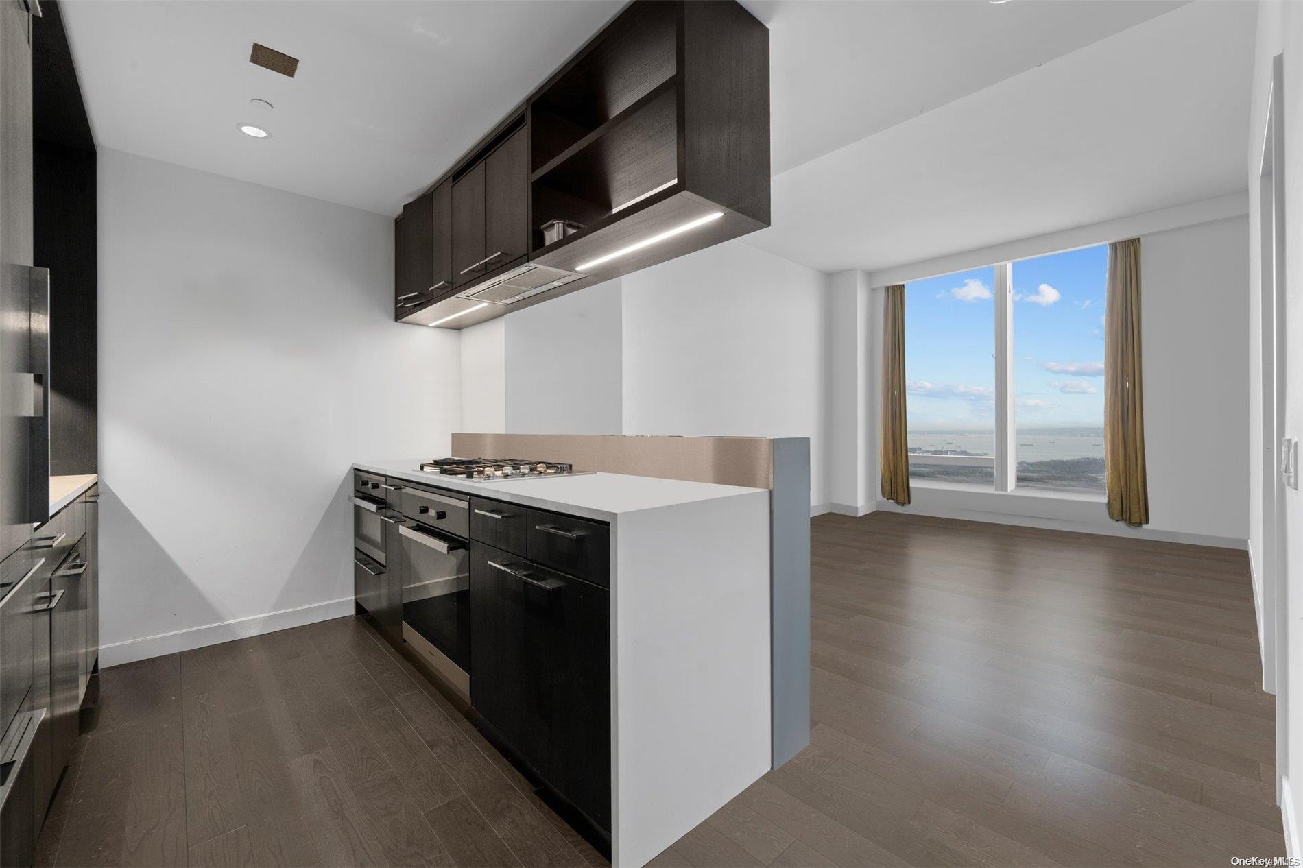 Condo South  Manhattan, NY 10002, MLS-L3546562-10