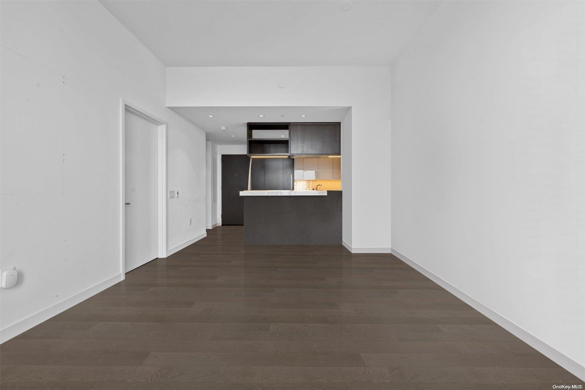 Condo South  Manhattan, NY 10002, MLS-L3546562-7