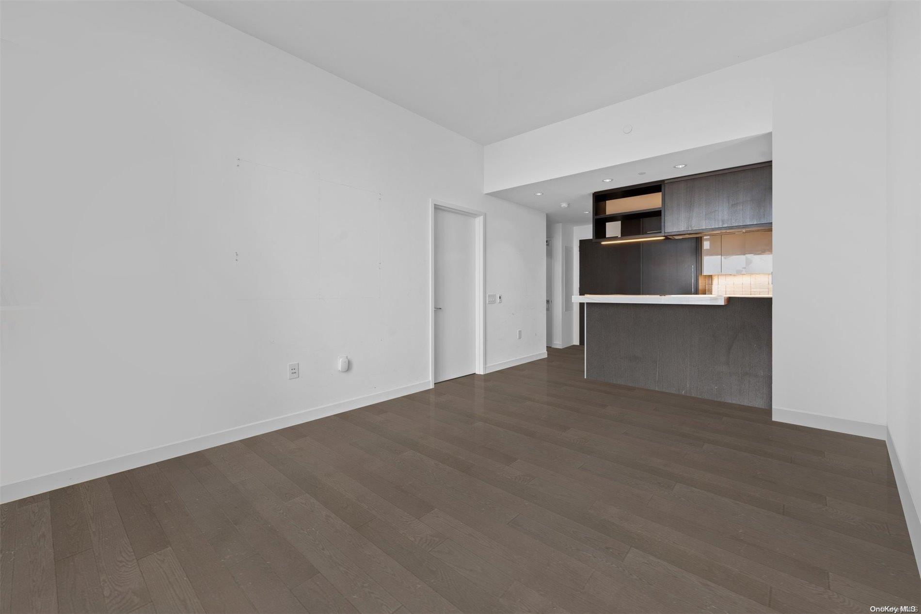 Condo South  Manhattan, NY 10002, MLS-L3546562-8