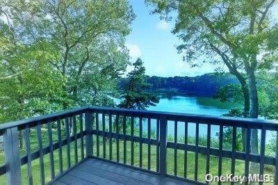 Single Family Trumans  Suffolk County, NY 11939, MLS-L3547425-20