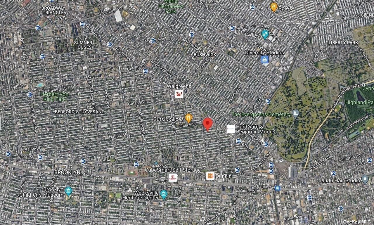 Commercial Sale Macdonough  Brooklyn, NY 11233, MLS-L3550289-3