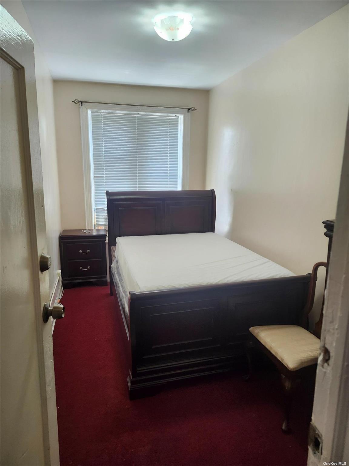 Single Family 92nd  Brooklyn, NY 11236, MLS-L3550442-10