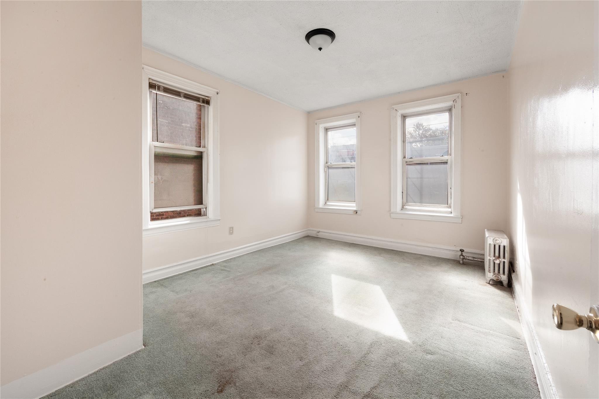 Single Family 92nd  Brooklyn, NY 11236, MLS-L3550442-14