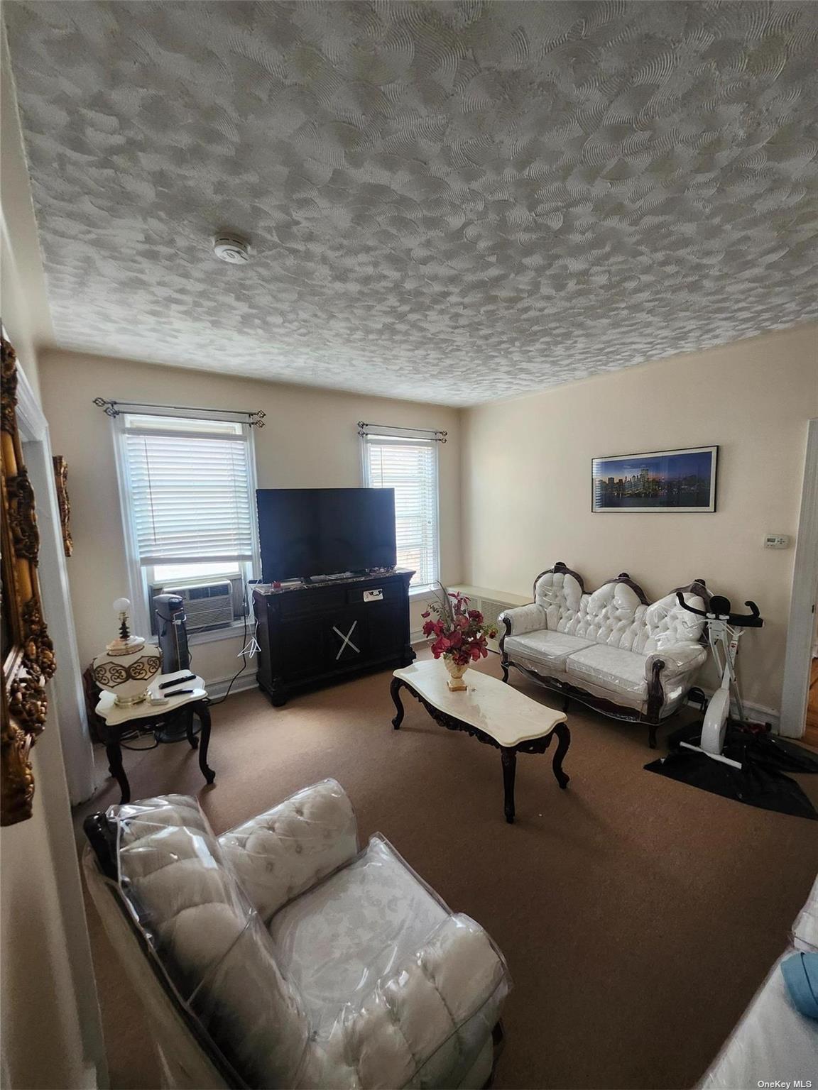 Single Family 92nd  Brooklyn, NY 11236, MLS-L3550442-7