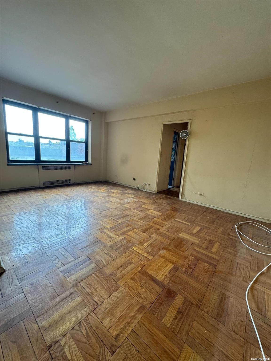 Coop Booth Street  Queens, NY 11375, MLS-L3552274-7