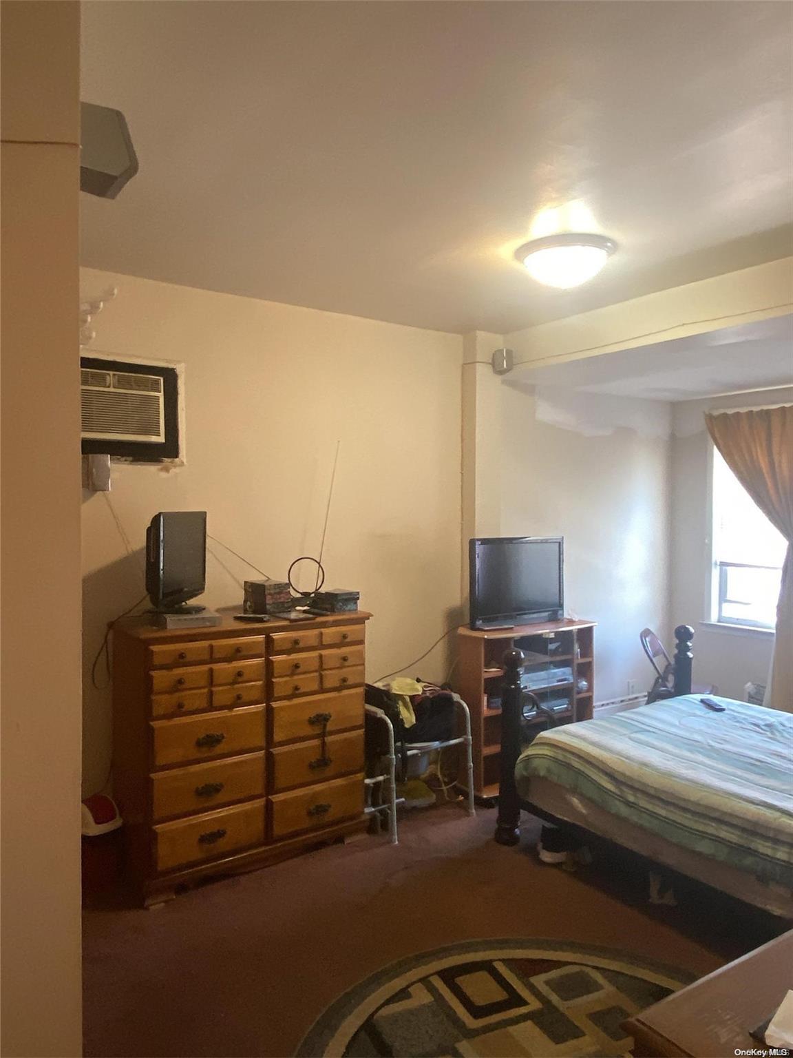 Single Family 89th  Brooklyn, NY 11236, MLS-L3557730-12