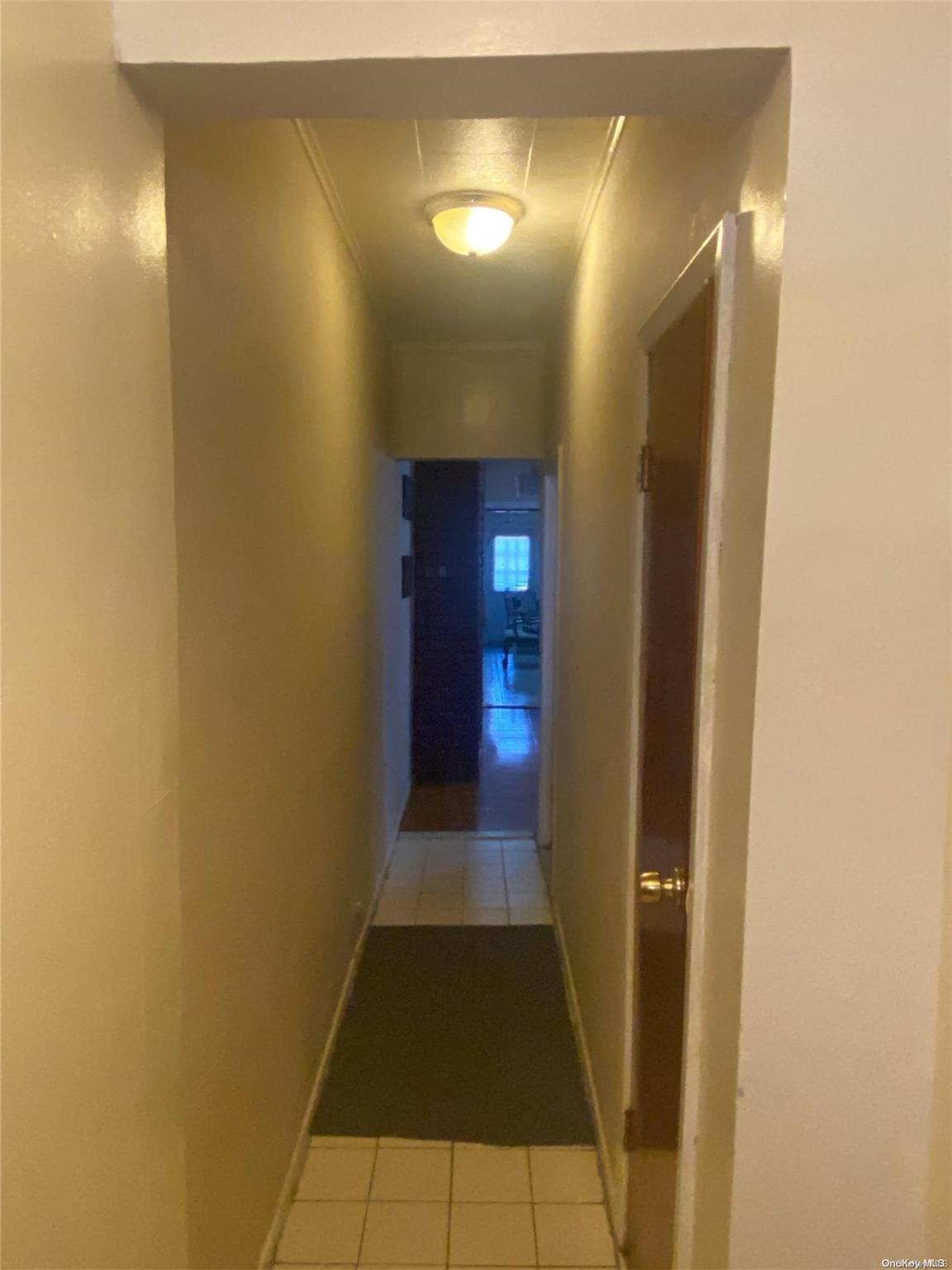 Single Family 89th  Brooklyn, NY 11236, MLS-L3557730-7