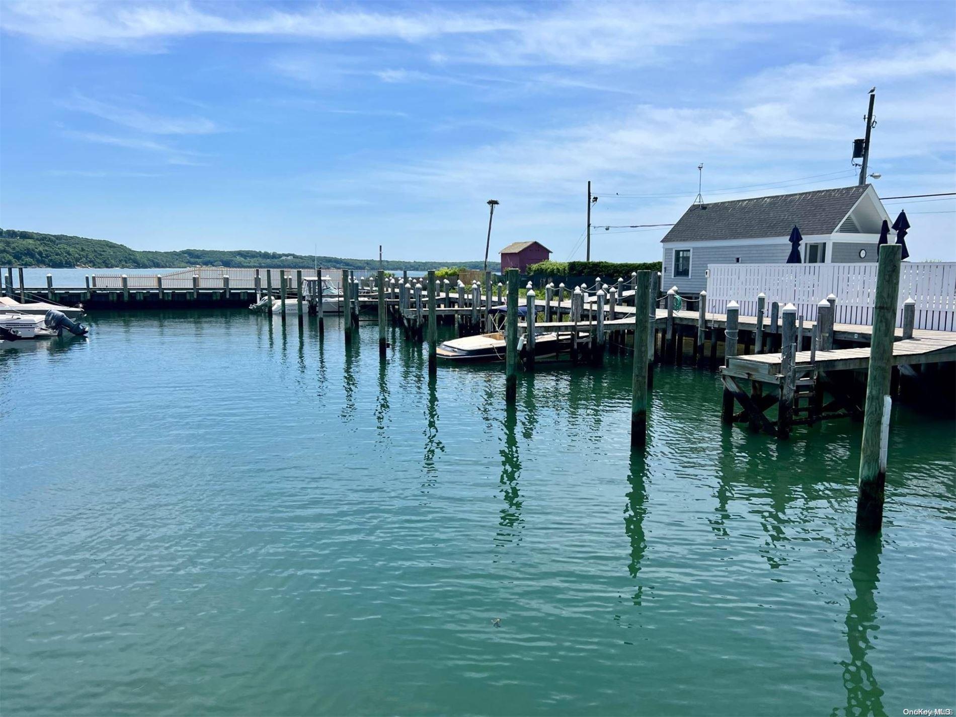 Apartment Oyster Point  Suffolk County, NY 11944, MLS-L3558855-14