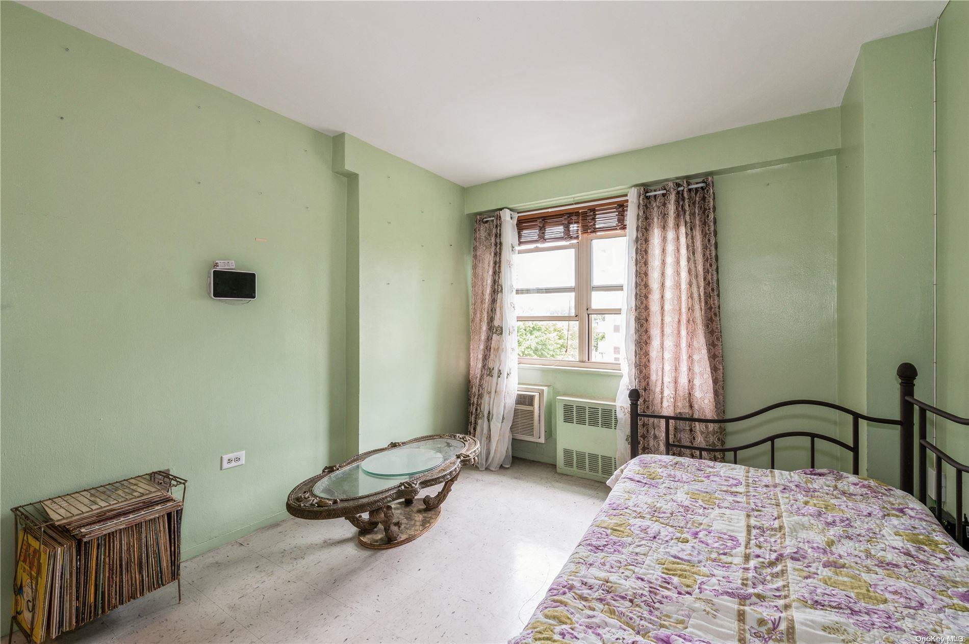 Condo Van Siclen  Brooklyn, NY 11207, MLS-L3560718-14