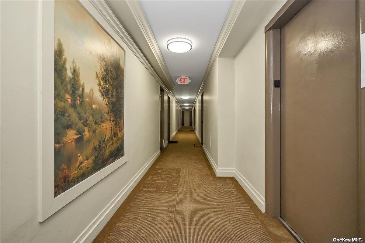 Condo Flatlands  Brooklyn, NY 11208, MLS-L3560831-5