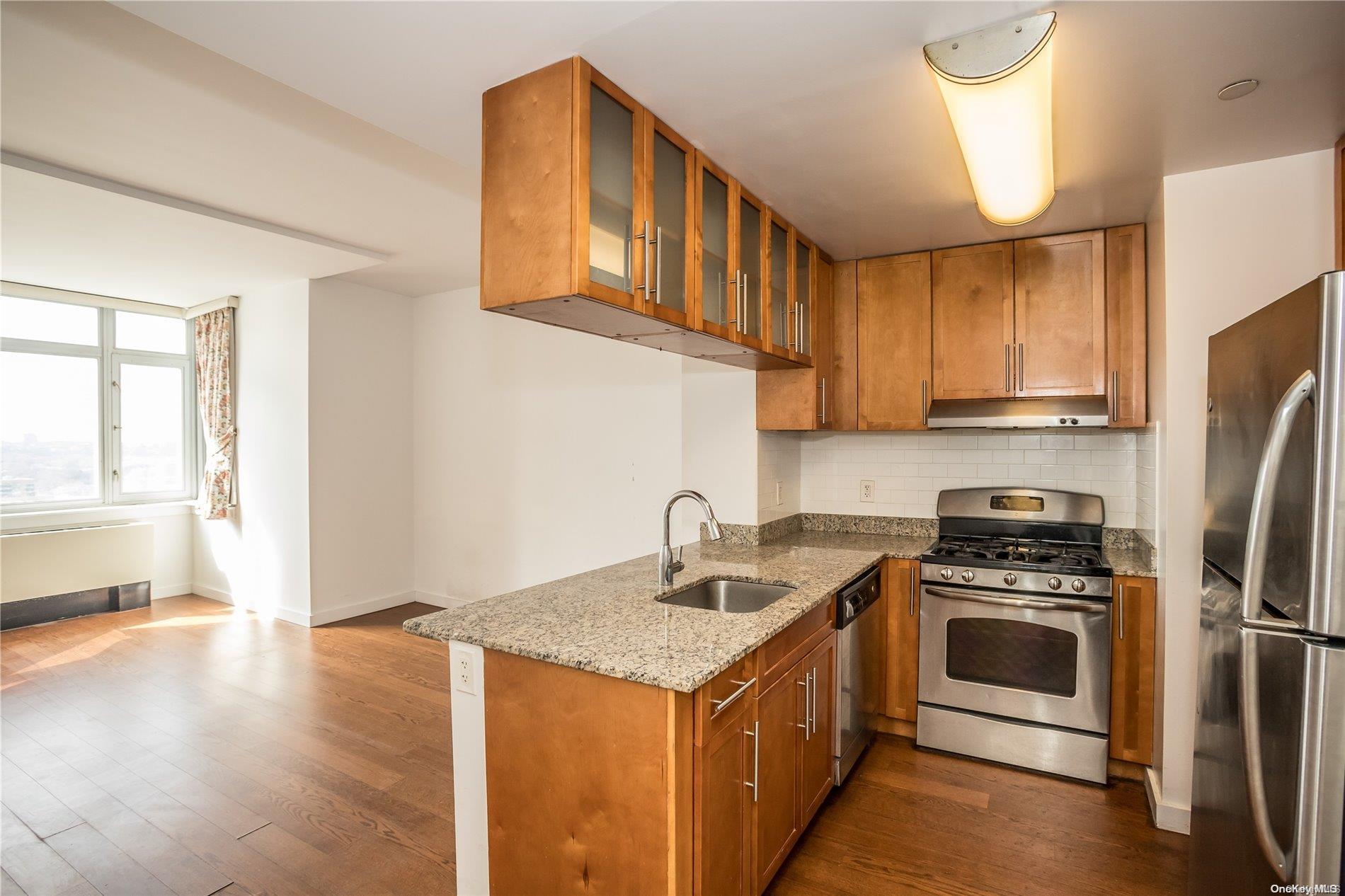 Condo College Point  Queens, NY 11354, MLS-L3561340-3