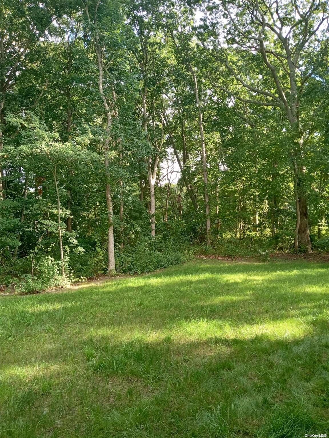 Single Family Diana  Suffolk County, NY 11951, MLS-L3562252-2