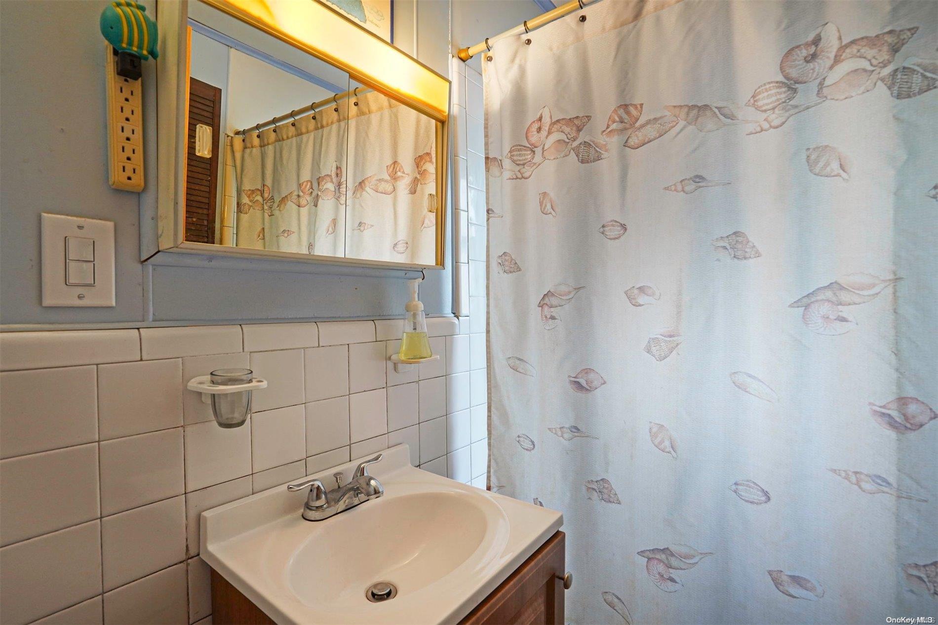 Single Family Brookdale  Suffolk County, NY 11706, MLS-L3564783-21