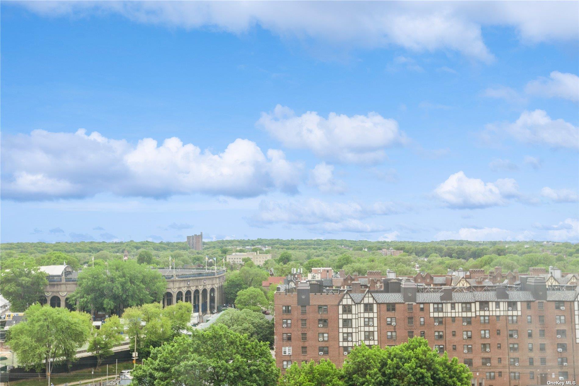 Coop Yellowstone  Queens, NY 11375, MLS-L3565287-21