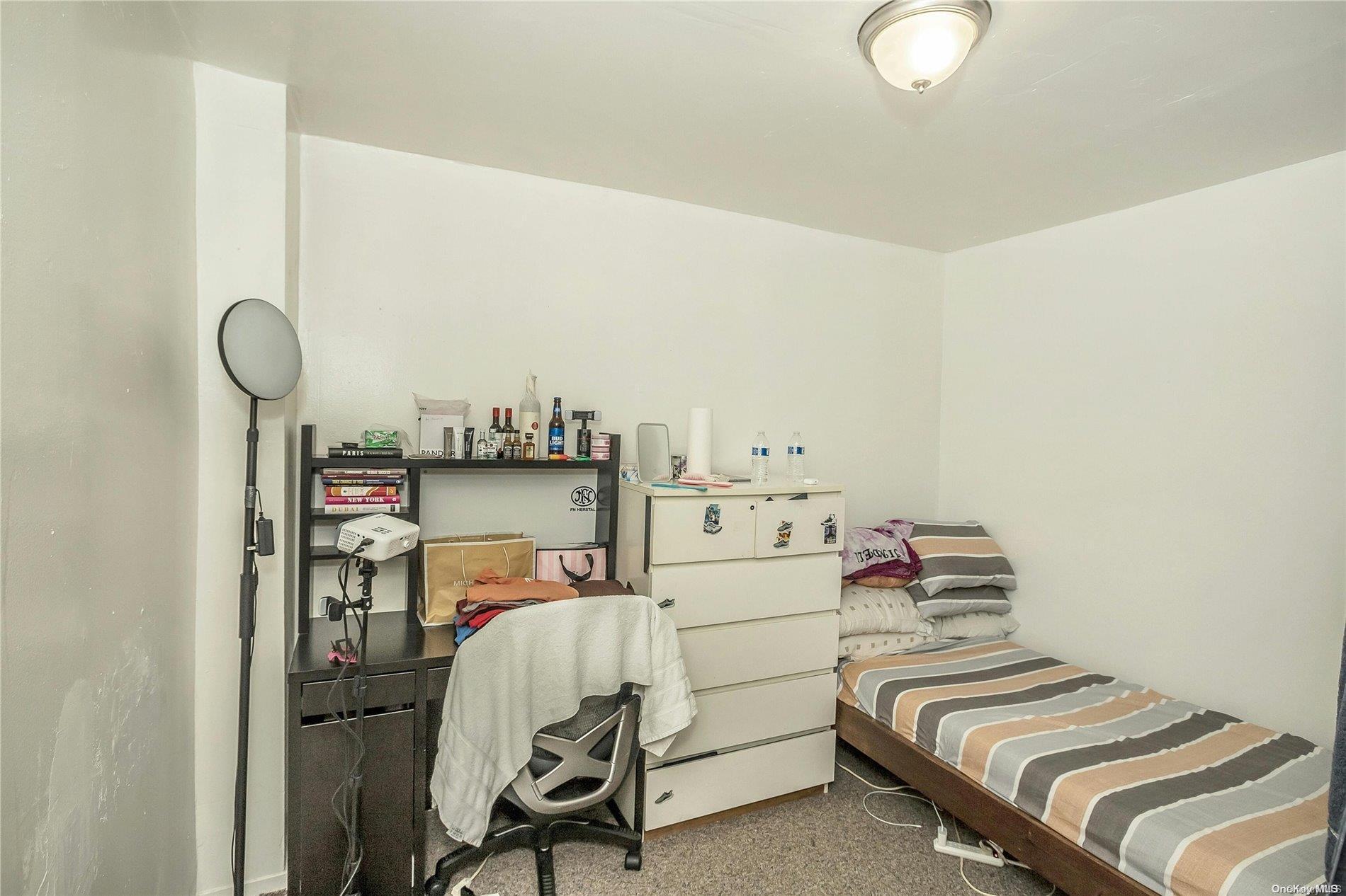 Single Family Jamaica  Queens, NY 11423, MLS-L3565735-18