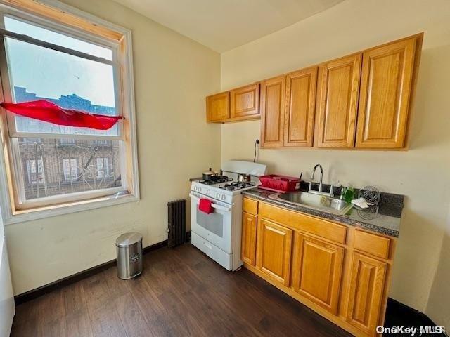 Commercial Sale Hegeman & Atkins  Brooklyn, NY 11208, MLS-L3566987-29