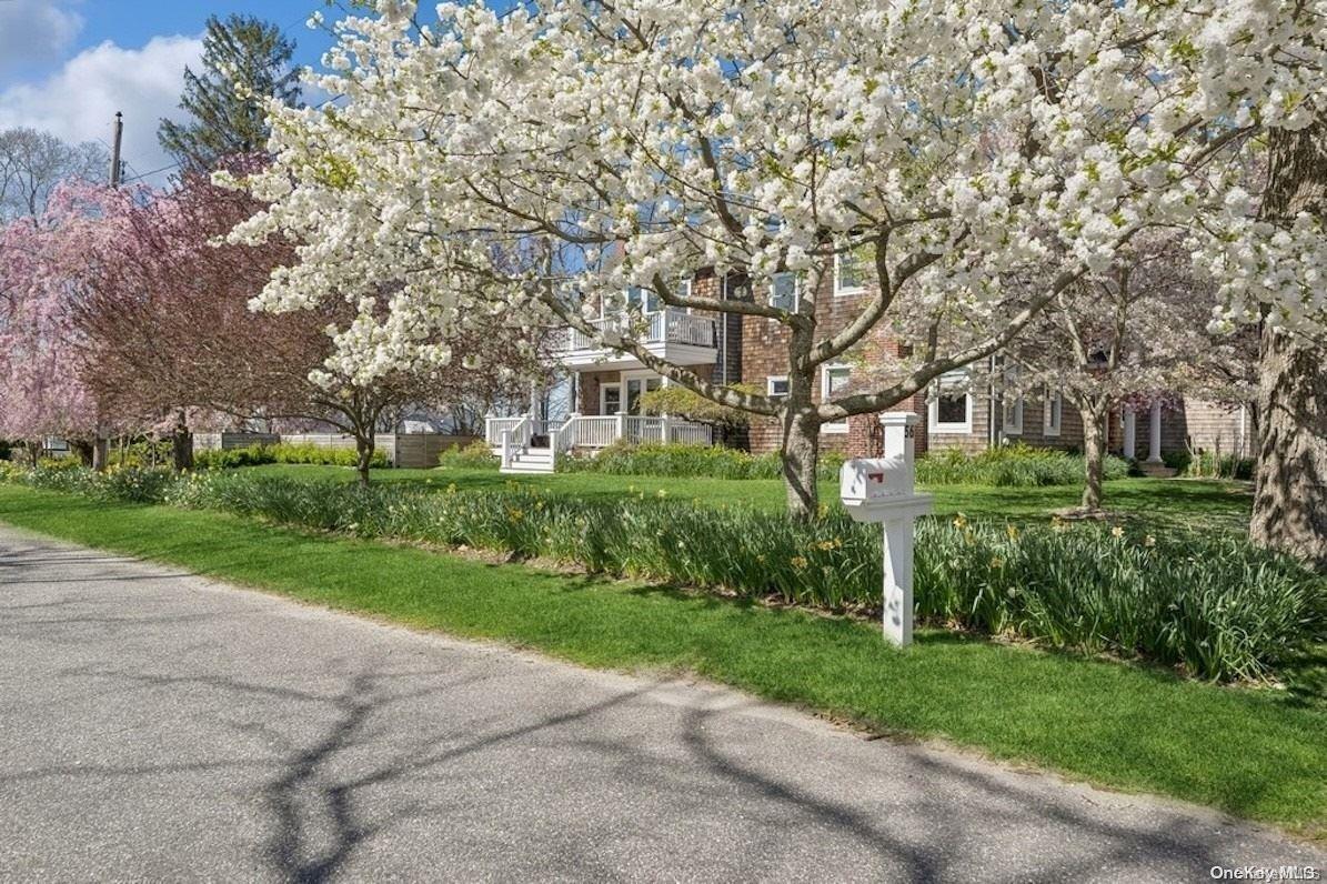 Single Family Cedar Point  Suffolk County, NY 11963, MLS-L3567359-10