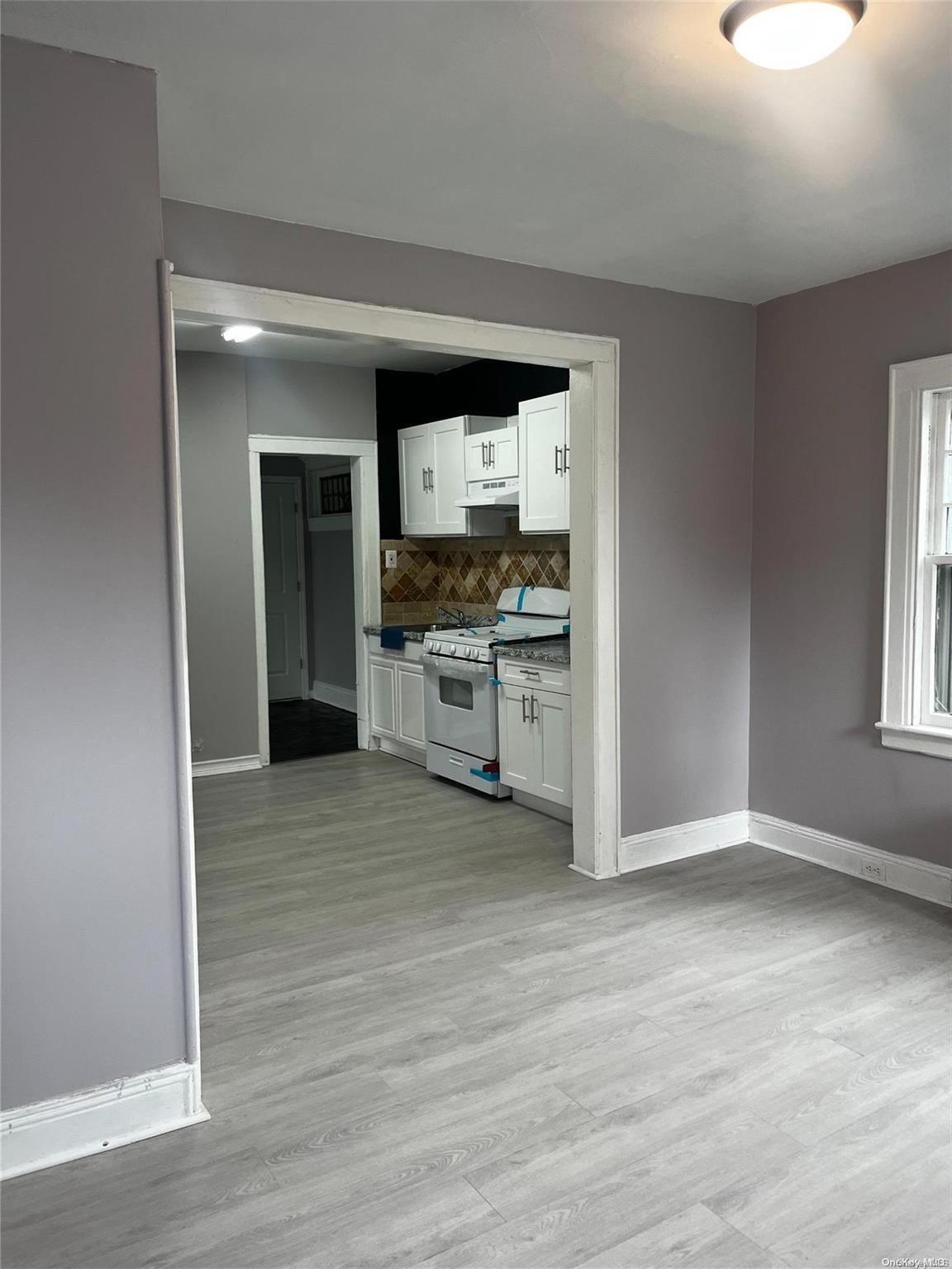 Single Family 118th  Queens, NY 11418, MLS-L3567725-5