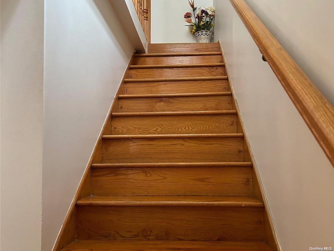 Single Family 31st  Queens, NY 11106, MLS-L3569469-9