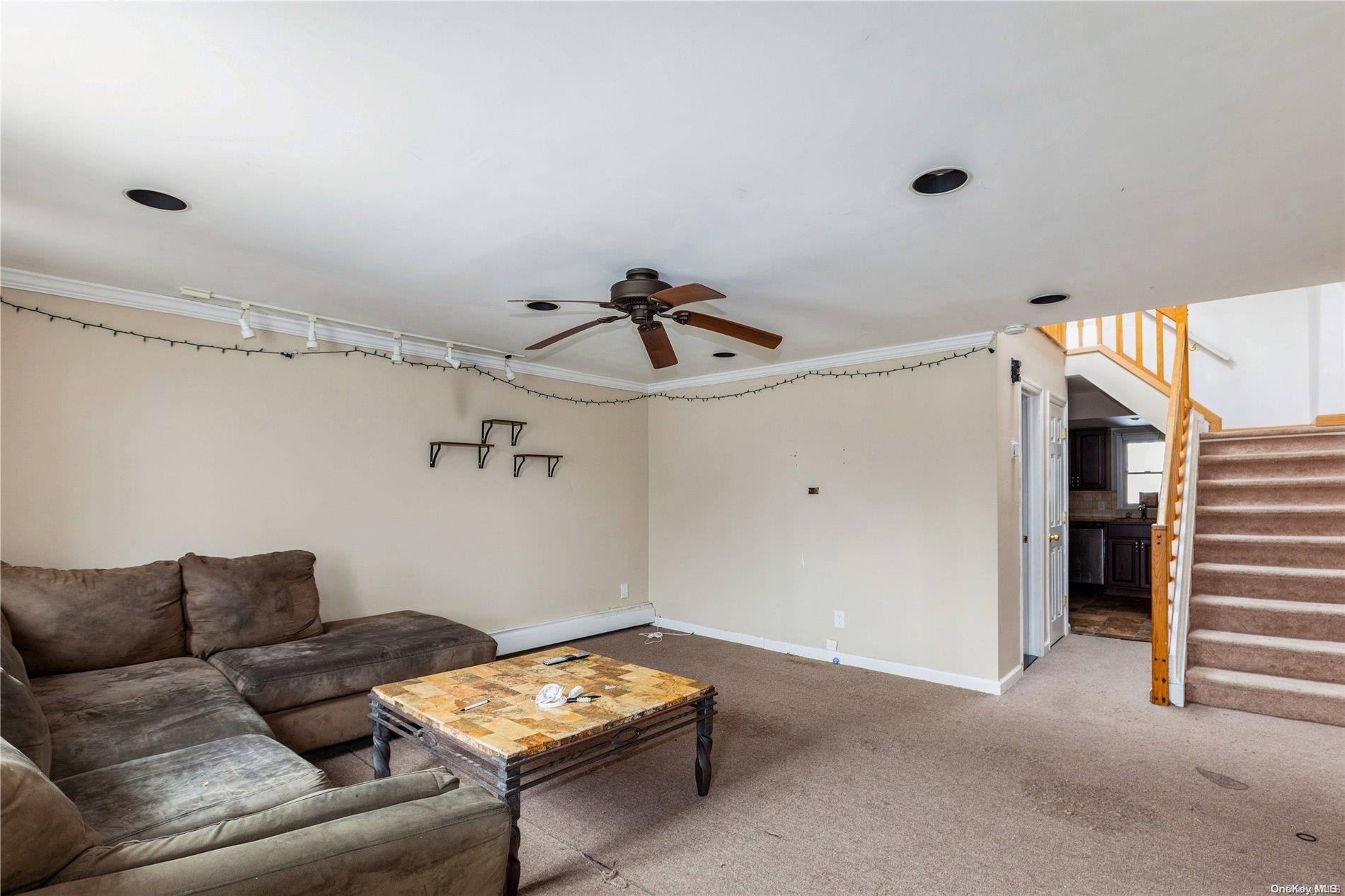 Single Family South  Nassau County, NY 11783, MLS-L3569713-3