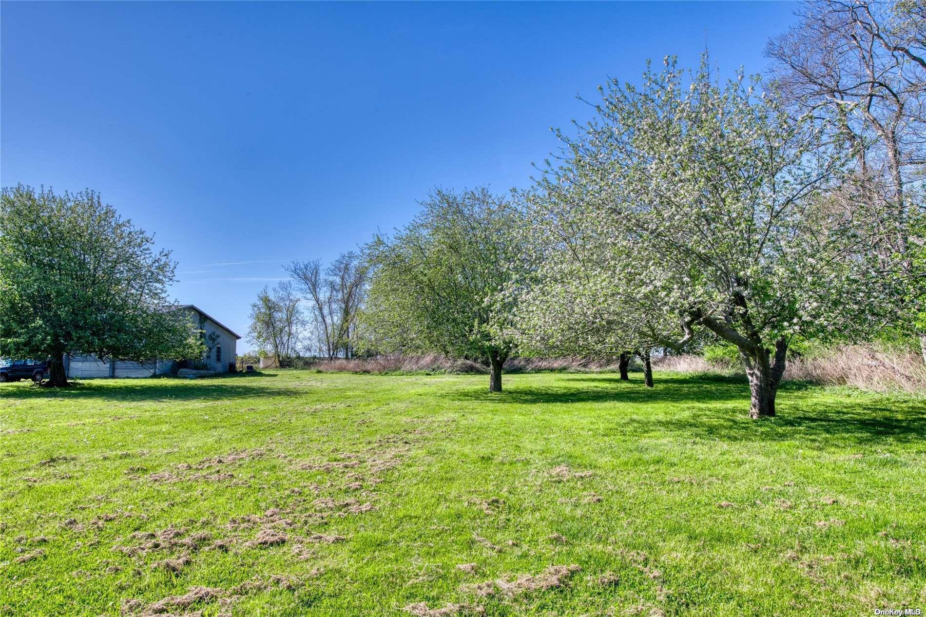 Single Family Terry  Suffolk County, NY 11957, MLS-L3570534-17