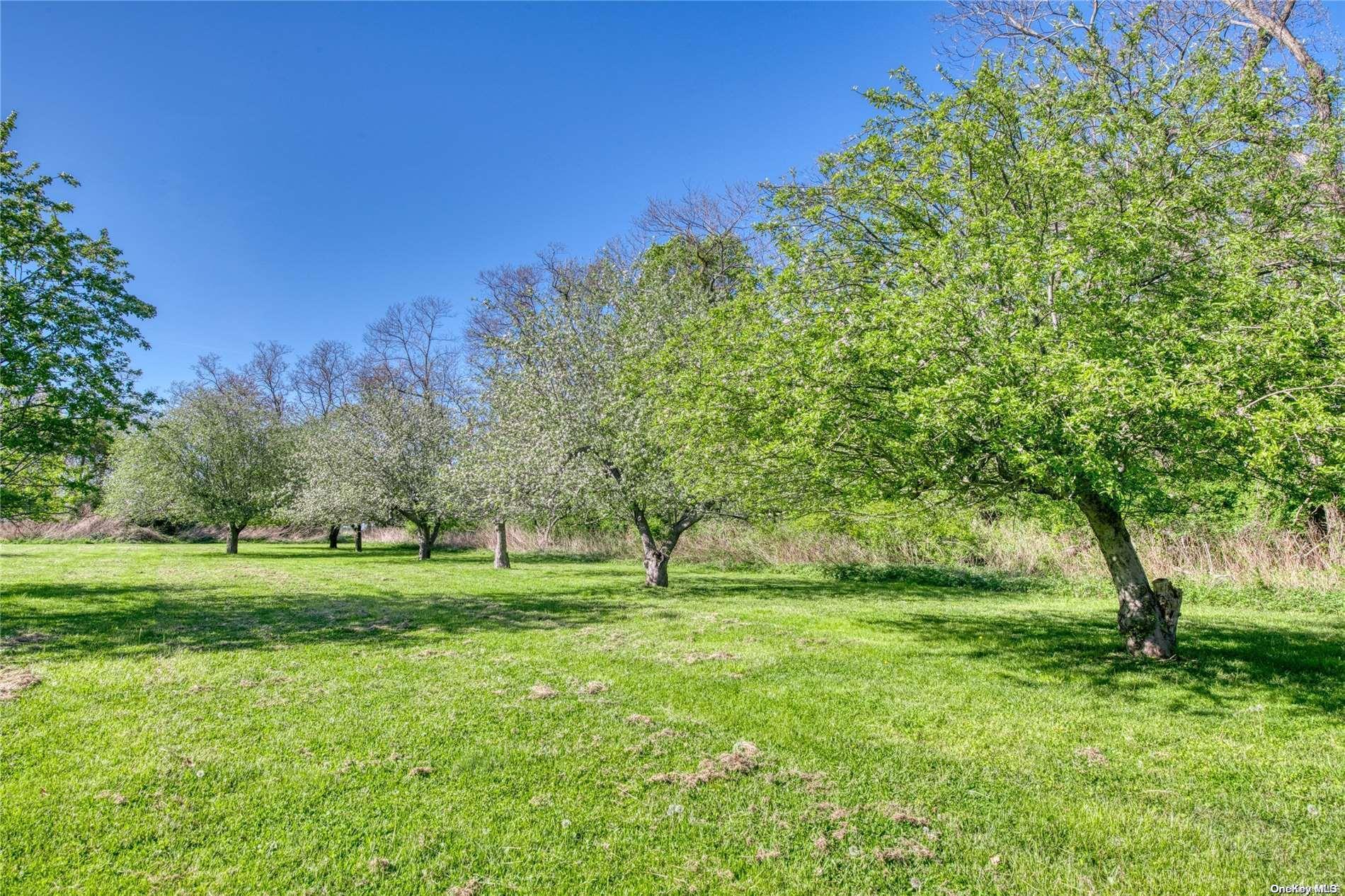 Single Family Terry  Suffolk County, NY 11957, MLS-L3570534-20