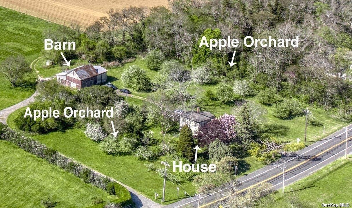 Single Family Terry  Suffolk County, NY 11957, MLS-L3570534-23