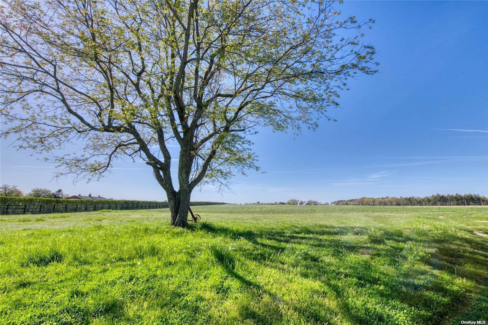 Single Family Terry  Suffolk County, NY 11957, MLS-L3570534-25