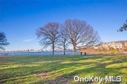 Single Family College  Queens, NY 11356, MLS-L3570843-18