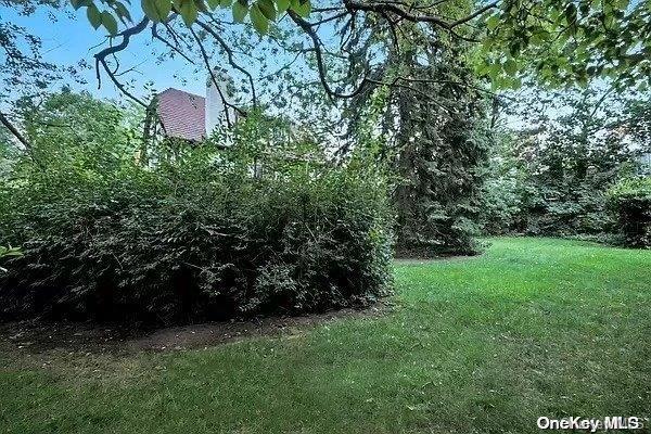 Land Rockrose  Queens, NY 11375, MLS-L3571911-4