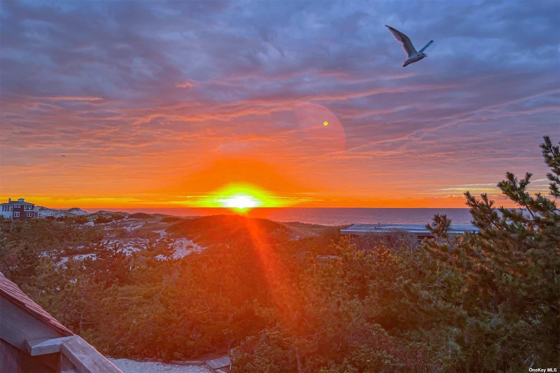 Coop Montauk  Suffolk County, NY 11930, MLS-L3572299-2