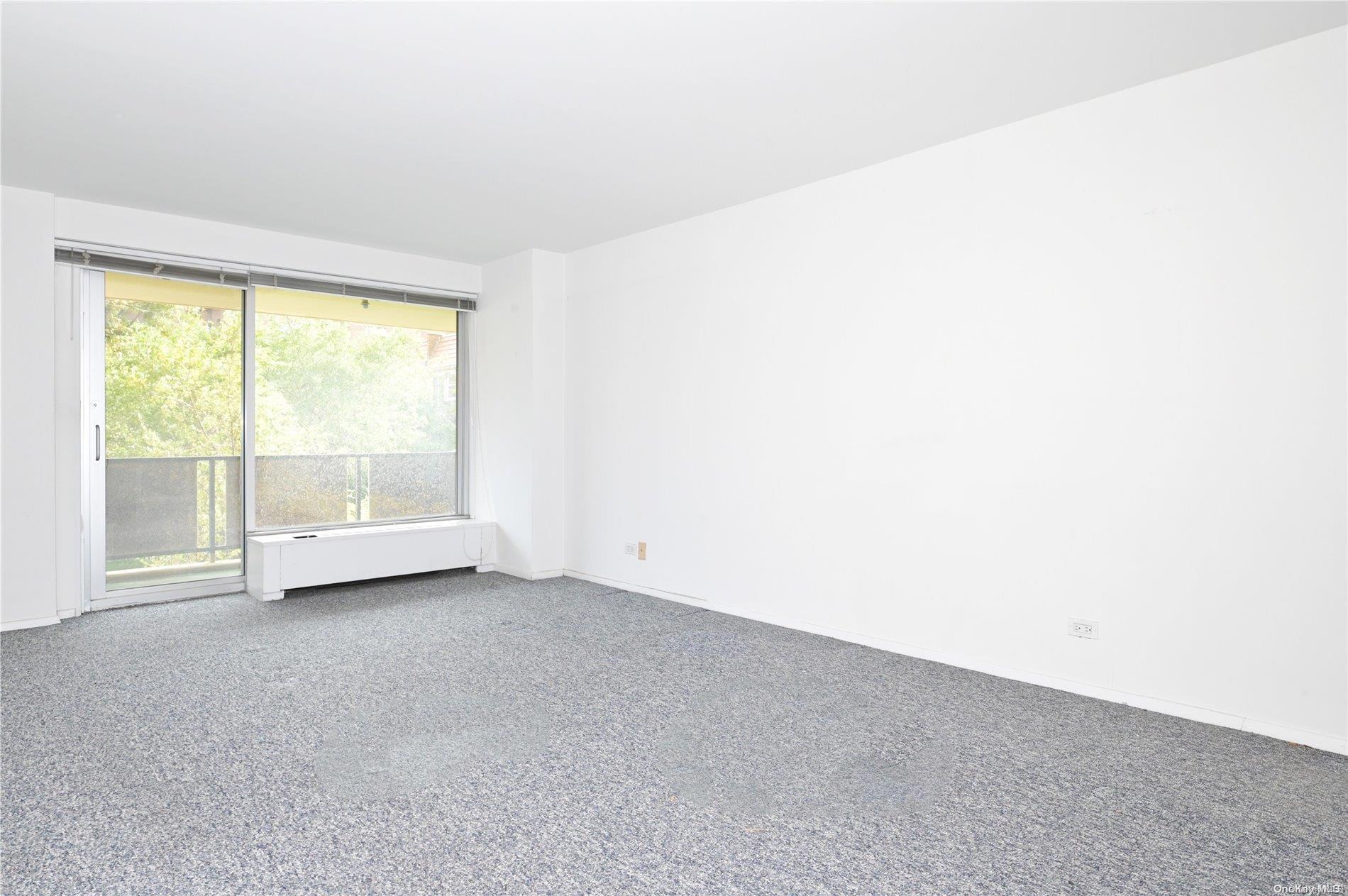 Coop Queens Blvd. Queens, NY 11375, MLS-L3572877-15