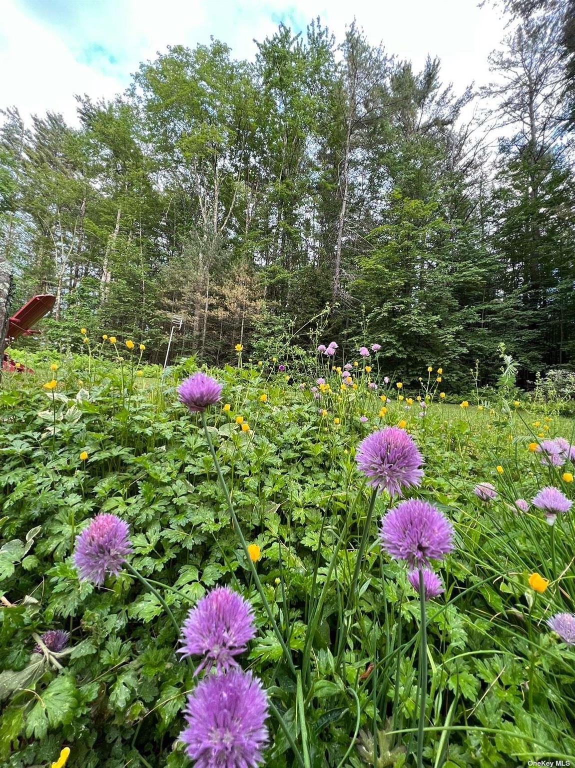 Single Family Pinekill Ln  Greene County, NY 12496, MLS-L3573079-27