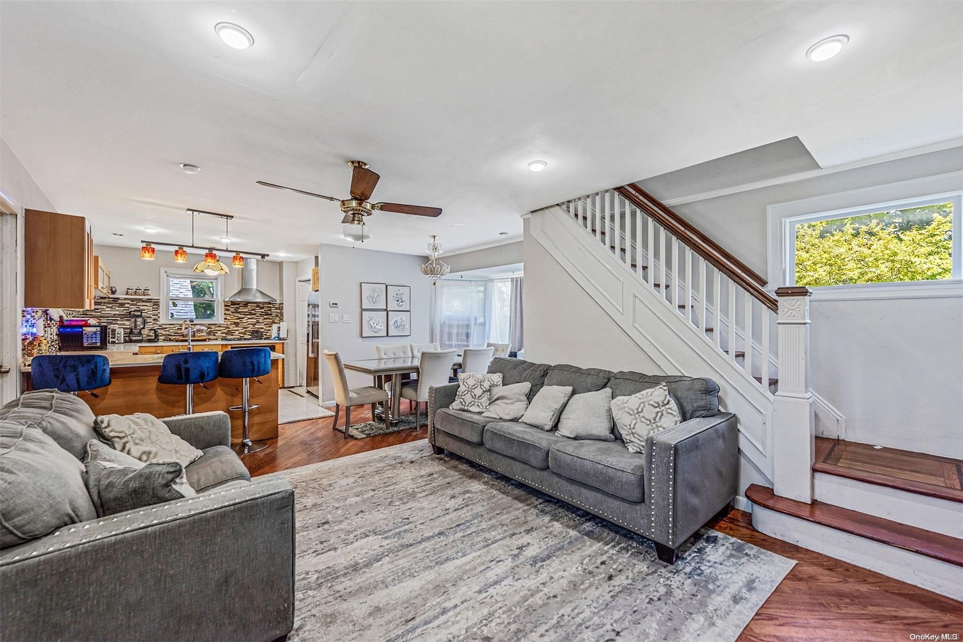 Single Family Roosevelt  Nassau County, NY 11581, MLS-L3573658-6