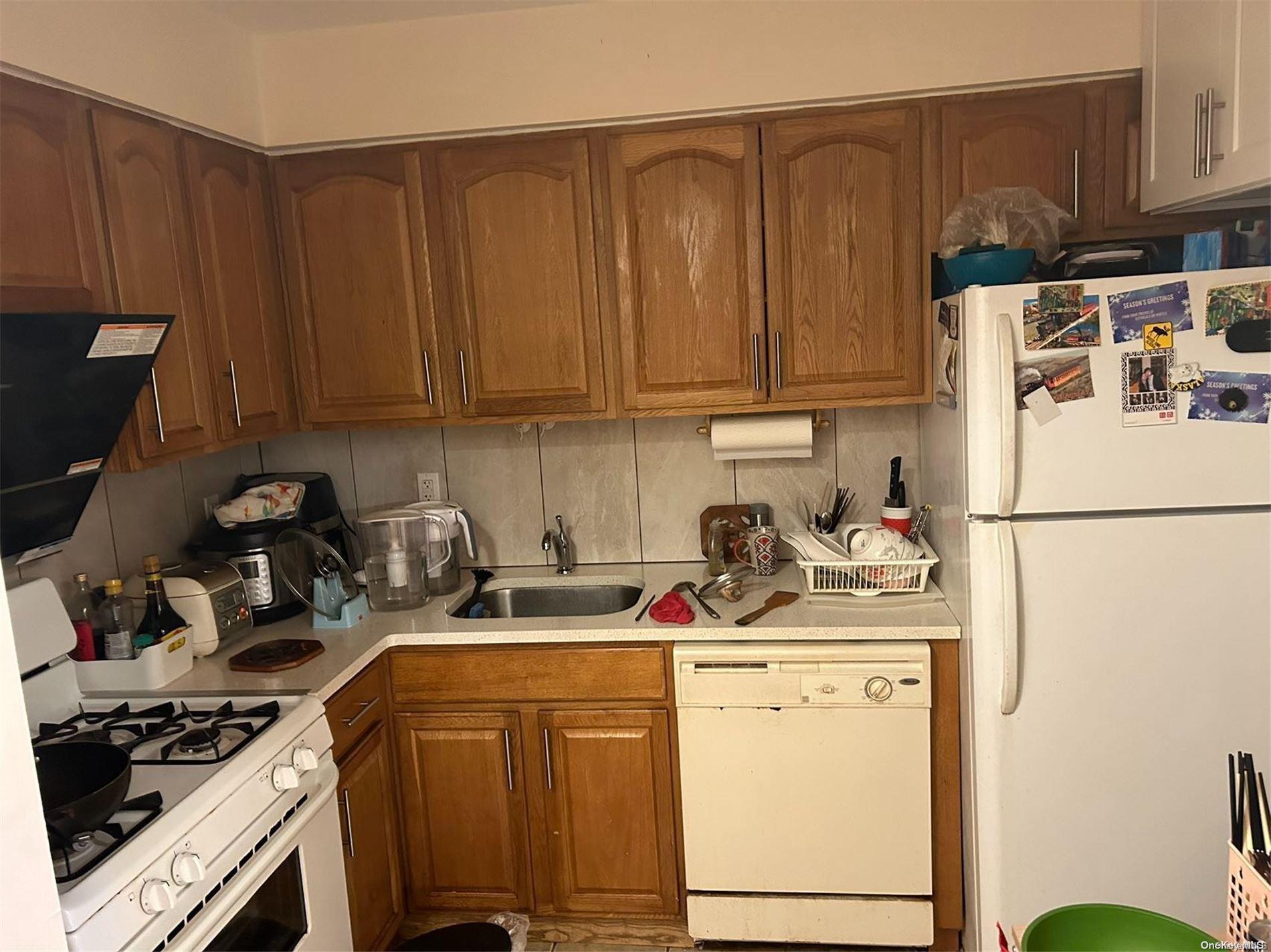 Single Family 107  Queens, NY 11368, MLS-L3575023-7