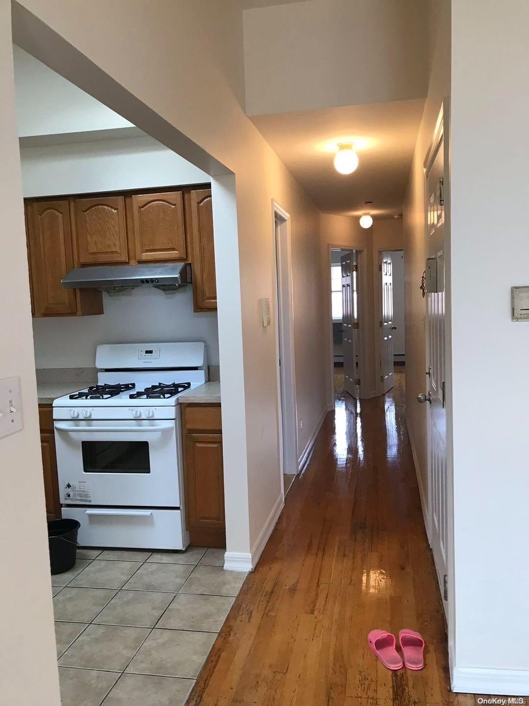 Single Family 107  Queens, NY 11368, MLS-L3575023-8