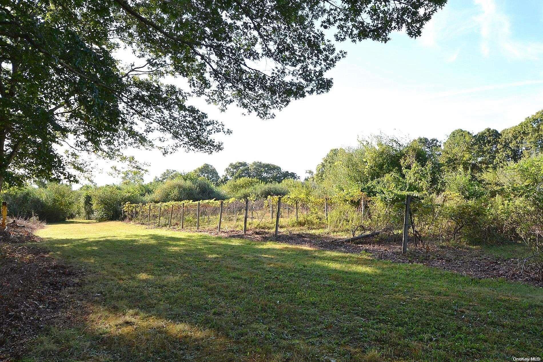 Single Family Ryerson Suffolk County, NY 11949, MLS-L3577419-16