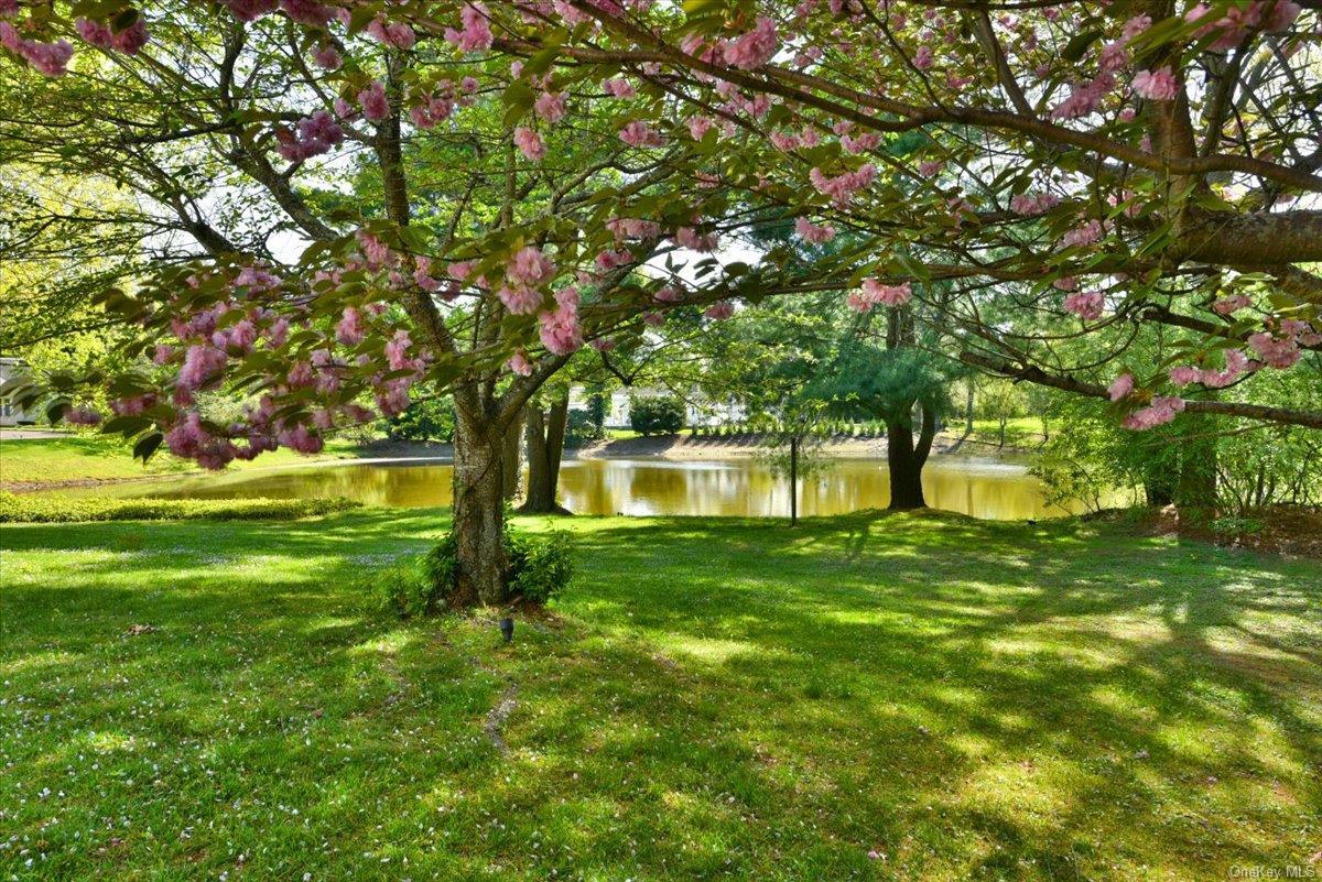 Single Family Overbrook  Nassau County, NY 11545, MLS-L3577621-40